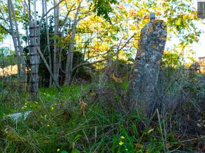 Un luogo che, tra altri cippi in pietra che paiono menhir, gode della presenza di falchi grillai, gheppi e pappagalli 
